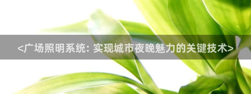 千亿国际官方网站入口在线观看:<广场照明系统: 实现城市夜晚魅力的关键技术>