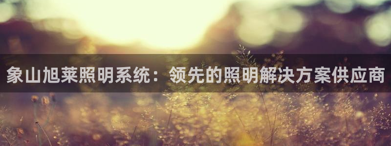 千亿国际打彩是真的吗:象山旭莱照明系统:领先的照明解决方案供应商