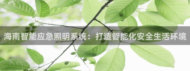 千亿国际平台是真是假啊：海南智能应急照明系统：打造智能化安全生活环境