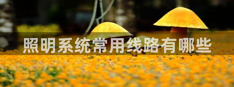 千亿国际唯一官方网站登录：照明系统常用线路有哪些