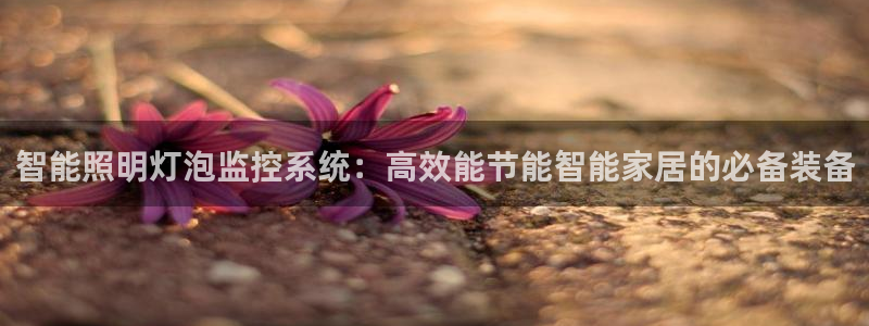 千亿国际是做什么的呢:智能照明灯泡监控系统:高效能节能智能家居的必备装备