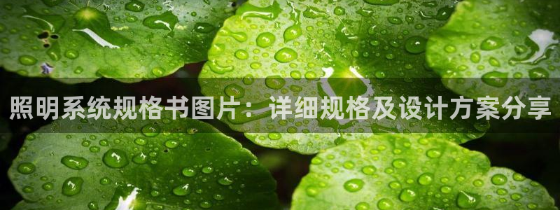 千亿国际唯一：照明系统规格书图片：详细规格及设计方案分享