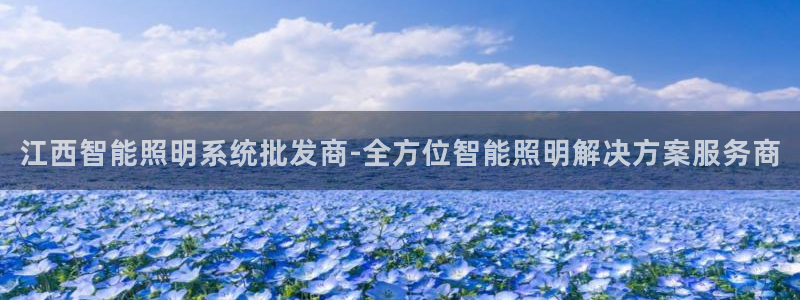 千亿国际pt游戏：江西智能照明系统批发商-全方位智能照明解决方案服务商
