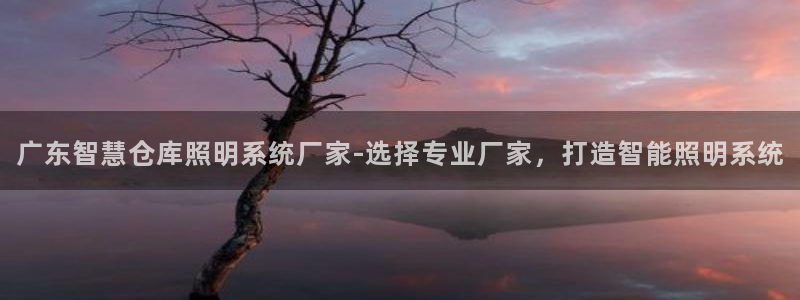 千亿国际手机版唯一官网下载：广东智慧仓库照明系统厂家-选择专业厂家，打造智能照明系统