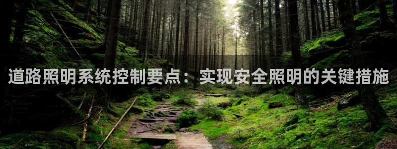 千亿国际官方网站入口在线观看:道路照明系统控制要点:实现安全照明的关键措施