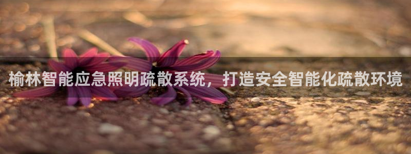 千亿国际欧阳文昊怎么样:榆林智能应急照明疏散系统,打造安全智能化疏散环境