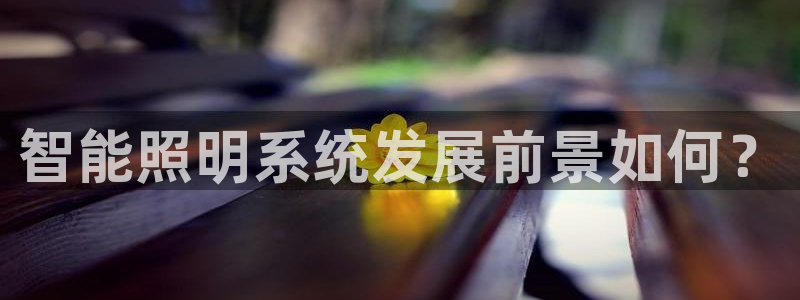 千亿国际手机登录网站：智能照明系统发展前景如何？