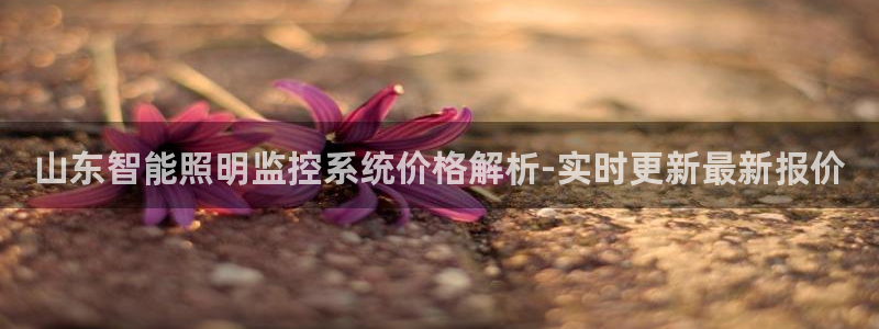 千亿国际平台是真是假:山东智能照明监控系统价格解析-实时更新最新报价