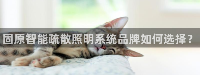 千亿国际入口：固原智能疏散照明系统品牌如何选择？
