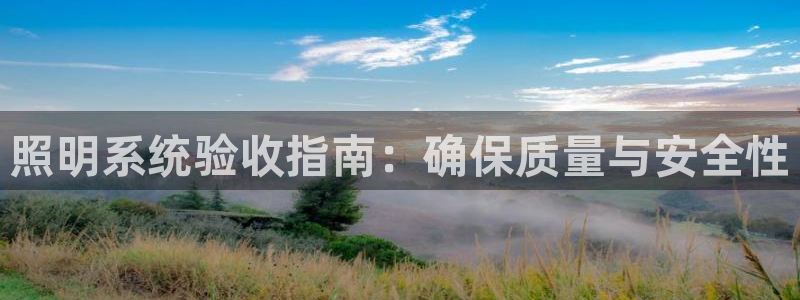 千亿国际芯片上市公司