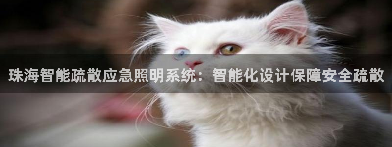 千亿国际平台怎么样知乎