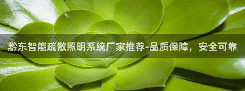 千亿国际手机登录网