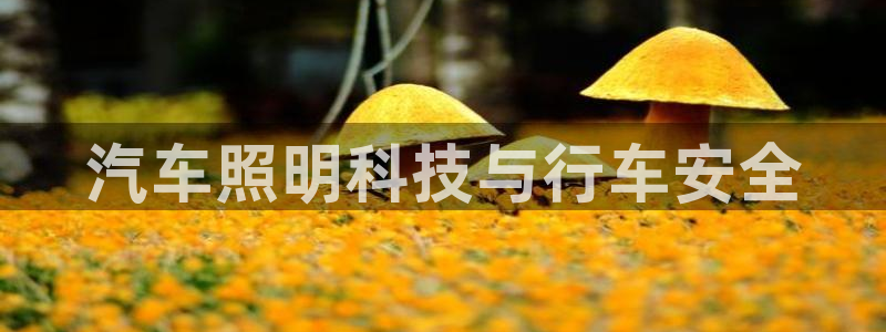 千亿国际2021年1.29更新版pkufli