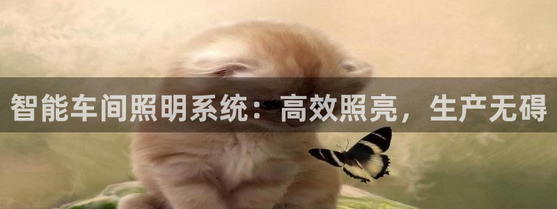 千亿国际手机版yb34点cn