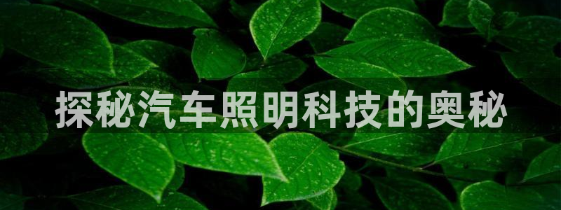 千亿国际手机官网app国际