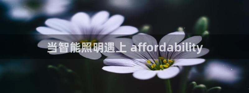 千亿国际是什么平台公司