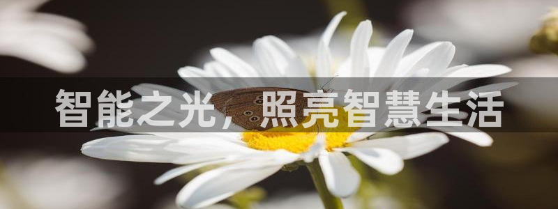 千亿国际的游戏怎么样知乎