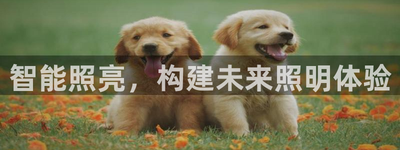 千亿国际黑吗