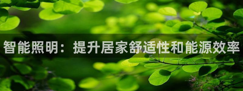 千亿国际董事长是谁呀