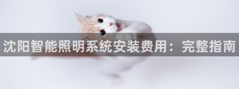 千亿国际qy8.vp