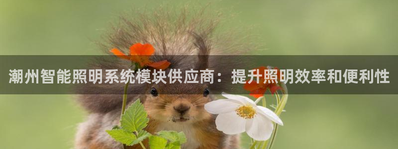 千亿国际手机版下载官网