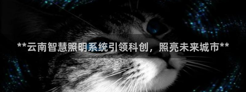 千亿国际平台还存在吗
