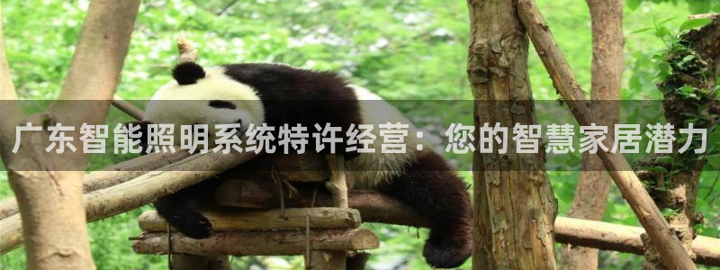 千亿国际集团