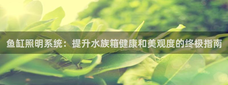 千亿国际唯一官方网站
