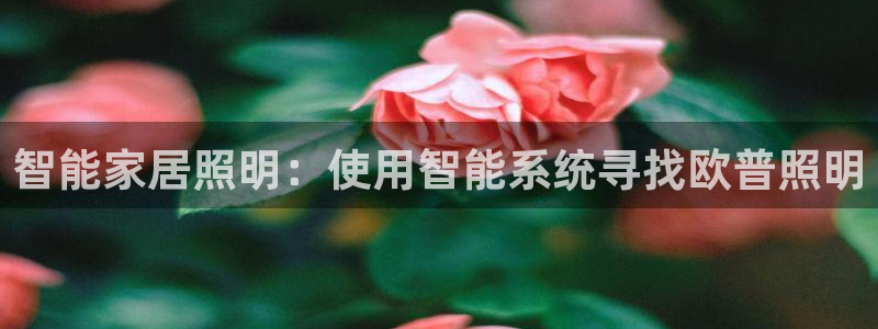 千亿国际pt