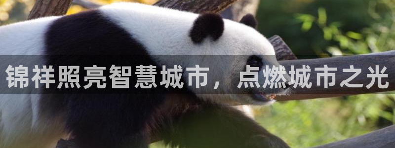 千亿国际网页版