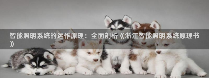 千亿国际真人:智能照明系统的运作原理:全面剖析《浙江智能照明系统原理书
》