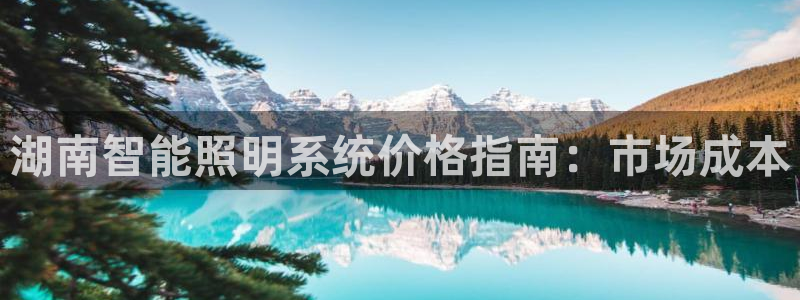 千亿国际pt游戏有哪些:湖南智能照明系统价格指南:市场成本