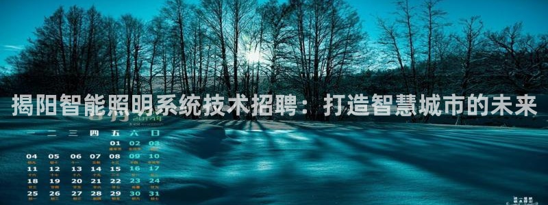 千亿国际平台是真是假:揭阳智能照明系统技术招聘:打造智慧城市的未来