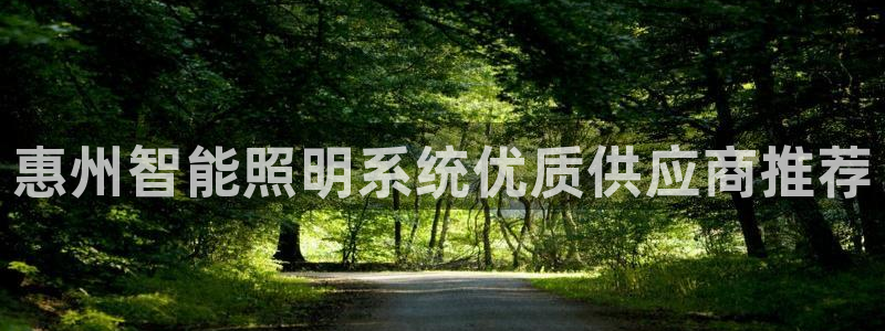 千亿国际集团招聘:惠州智能照明系统优质供应商推荐