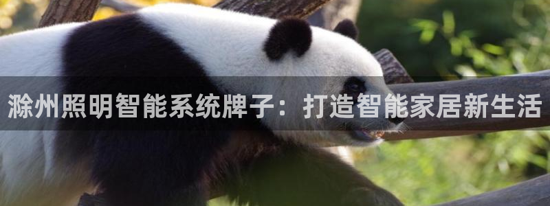 千亿国际平台是什么平台：滁州照明智能系统