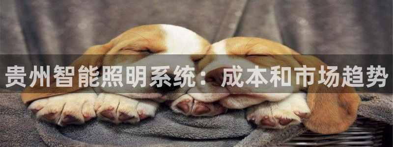 千亿国际平台登录：贵州智能照明系统：成本和市场趋势