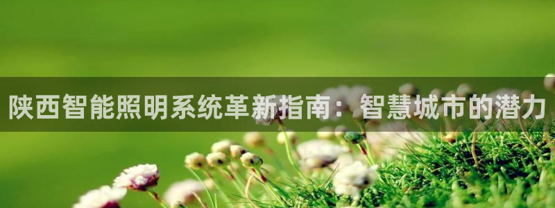 千亿国际平台怎么样知乎:陕西智能照明系统革新指南:智慧城市的潜力