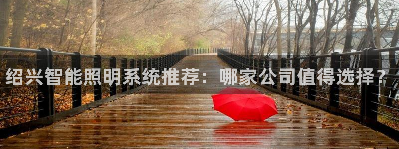 千亿国际网页版登录下载:绍兴智能照明系统推荐:哪家公司值得选择?