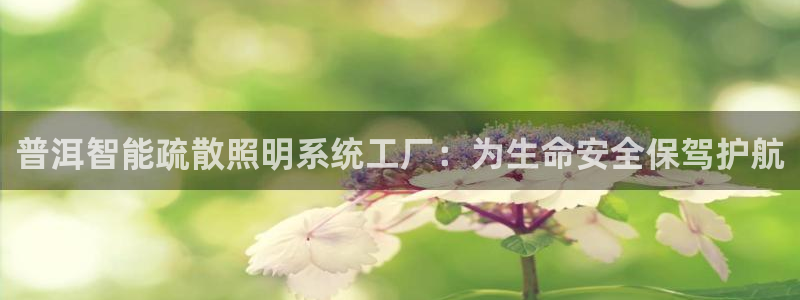 千亿国际pt游戏有哪些：普洱智能疏散照明