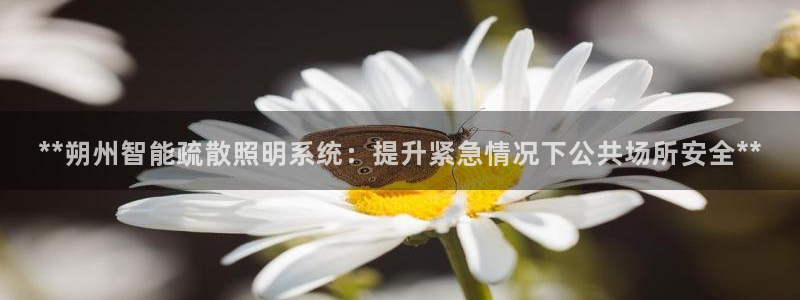 千亿国际是什么平台:**朔州智能疏散照明系统:提升紧急情况下公共场所安全**