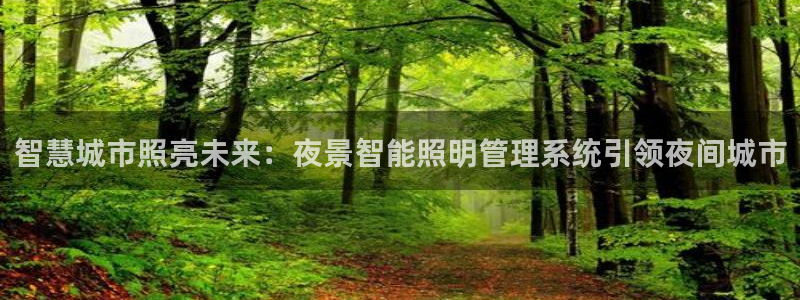 千亿国际登陆:智慧城市照亮未来:夜景智能照明管理系统引领夜间城市