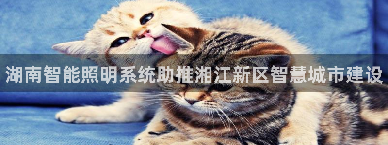 千亿国际pt游戏怎么玩:湖南智能照明系统助推湘江新区智慧城市建设