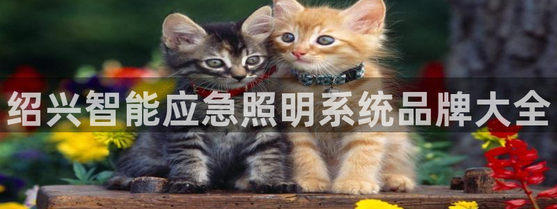 千亿国际提款有没有问题啊怎么查:绍兴智能应急照明系统品牌大全