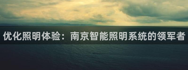 千亿国际平台是真是假:优化照明体验:南京智能照明系统的领军者