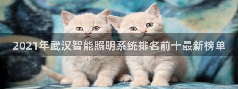 千亿国际的游戏怎么样:2021年武汉智能照明系统排名前十最新榜单