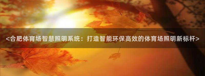 千亿国际qy886：<合肥体育场智慧照明