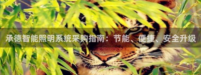 千亿国际电子游戏平台中心:承德智能照明系统采购指南:节能、便捷、安全升级