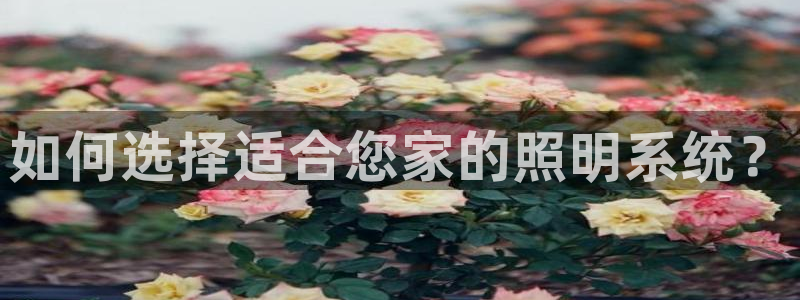 千亿国际平台怎么样:如何选择适合您家的照明系统?