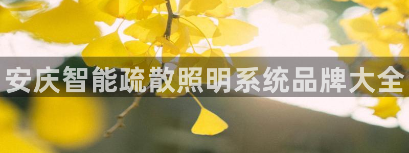 千亿国际在线网页:安庆智能疏散照明系统品牌大全