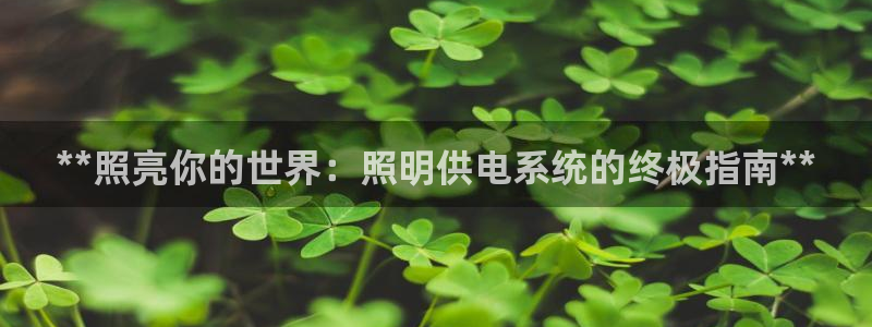 千亿国际董事长是谁啊:**照亮你的世界:照明供电系统的终极指南**
